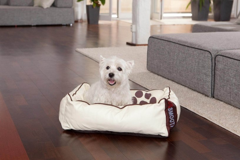Smoothy Dogbed Leather S Beige