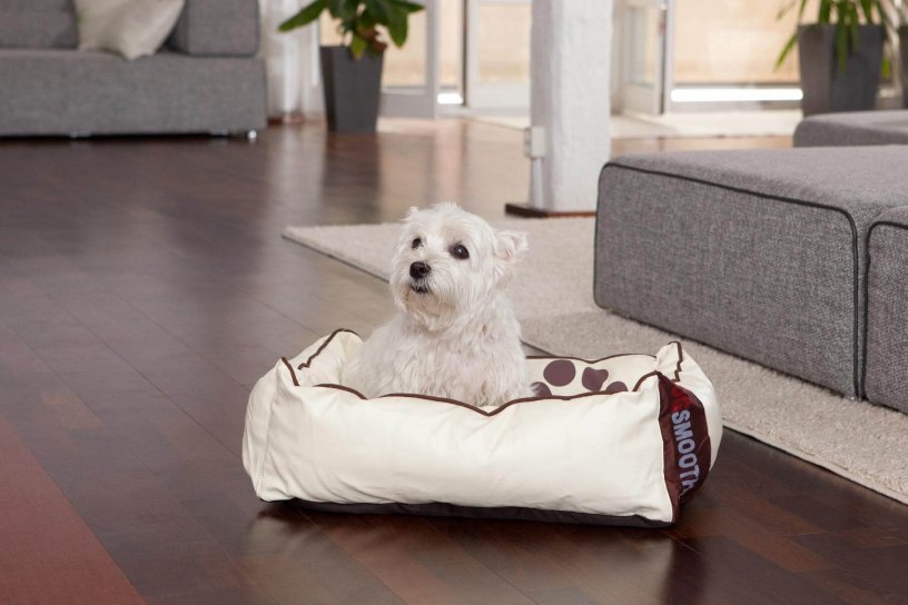 Smoothy Dogbed Leather S Beige