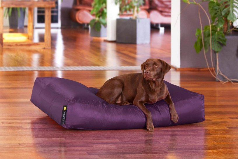 Smoothy Dogbed XXL Purpur