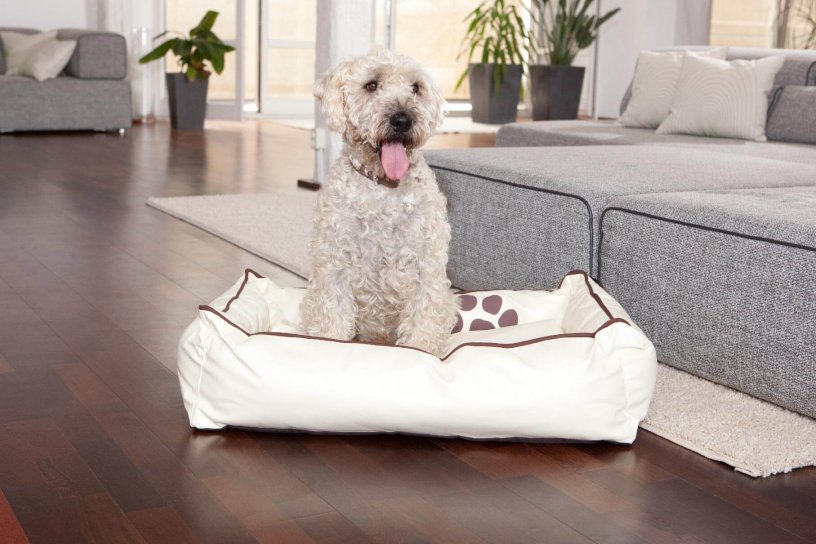 Smoothy Dogbed Leather M Beige
