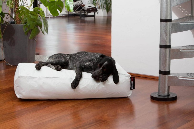 Smoothy Dogbed Classic Weiß
