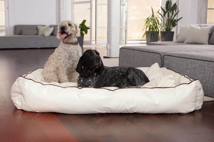 Smoothy Dogbed Leather XXL Beige