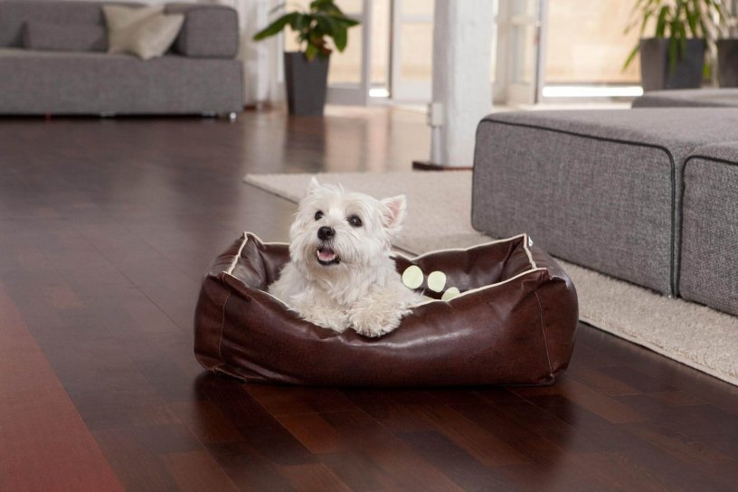 Smoothy Dogbed Leather S Braun