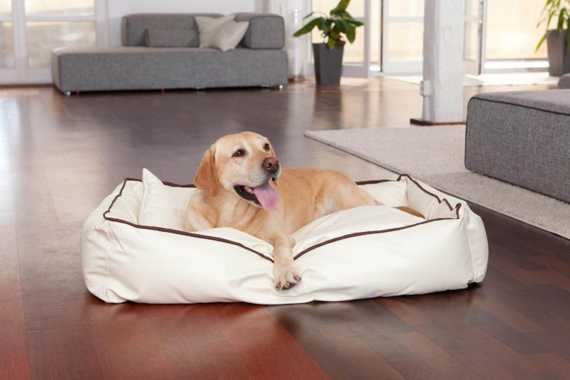 Smoothy Dogbed Leather L Beige