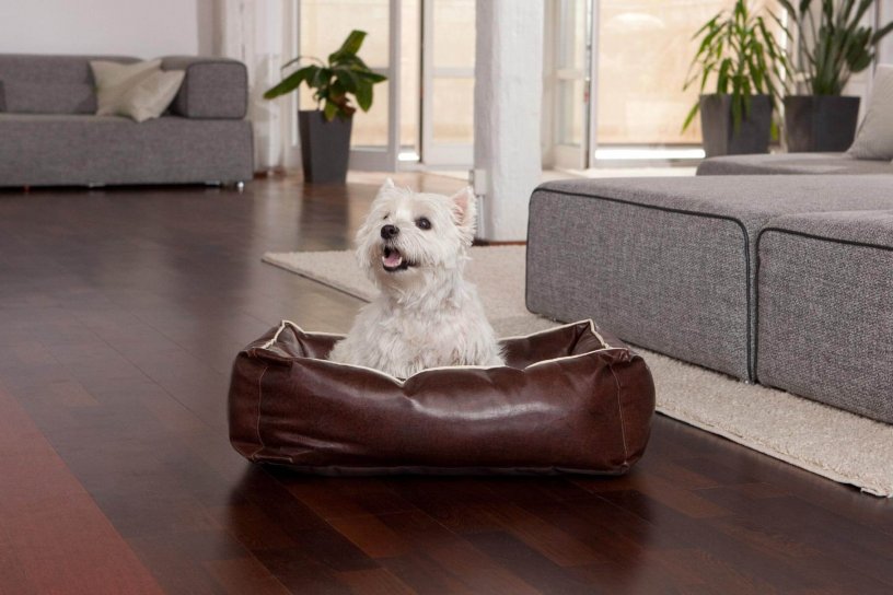 Smoothy Dogbed Leather S Braun