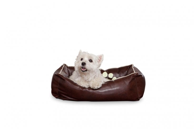 Smoothy Dogbed Leather S Braun
