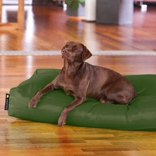 Dogbed Classic XXL