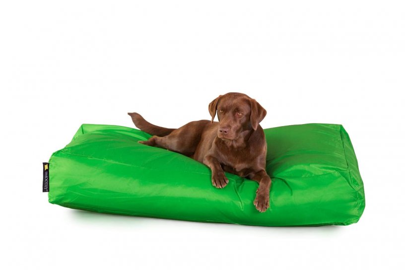 Smoothy Dogbed XXL Grün
