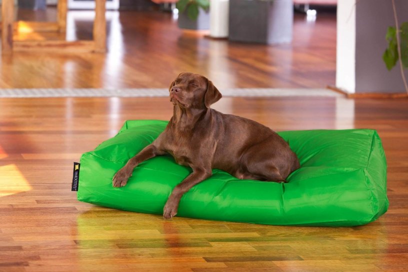 Smoothy Dogbed XXL Grün
