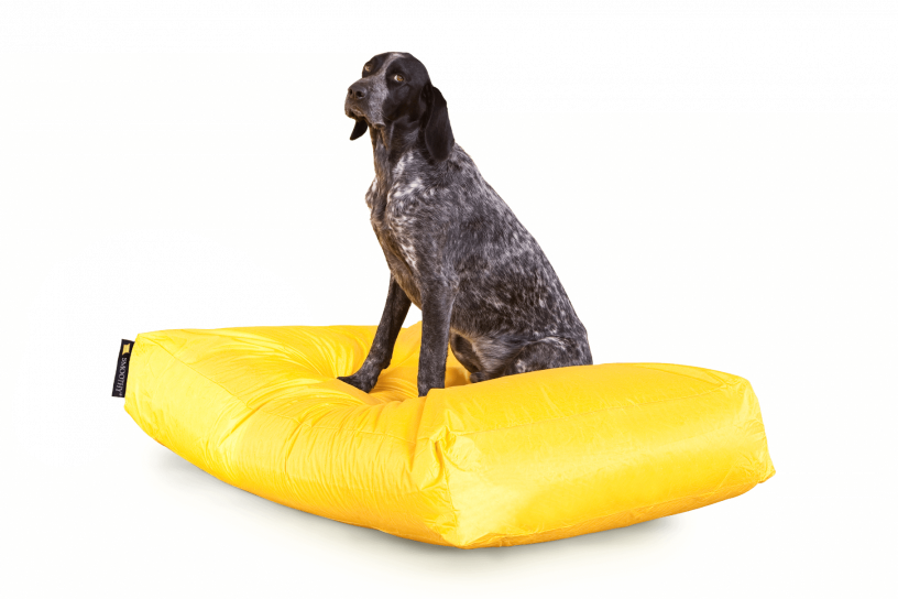 Smoothy Dogbed XXL Gelb