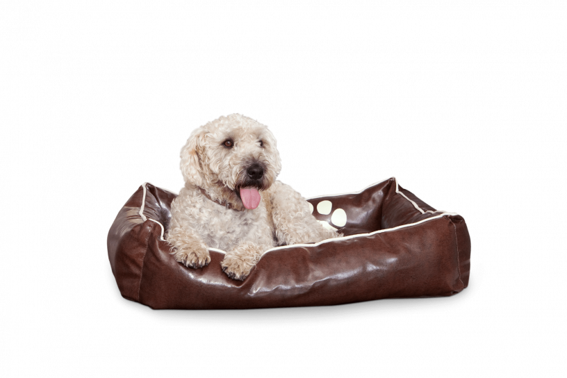 Smoothy Dogbed Leather M Braun