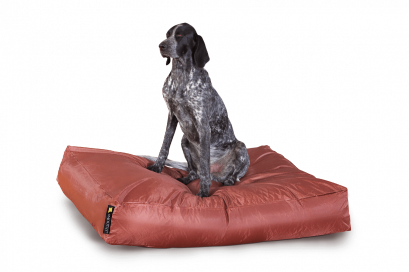 Smoothy Dogbed XXL Braun