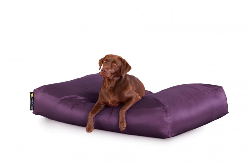 Smoothy Dogbed XXL Purpur