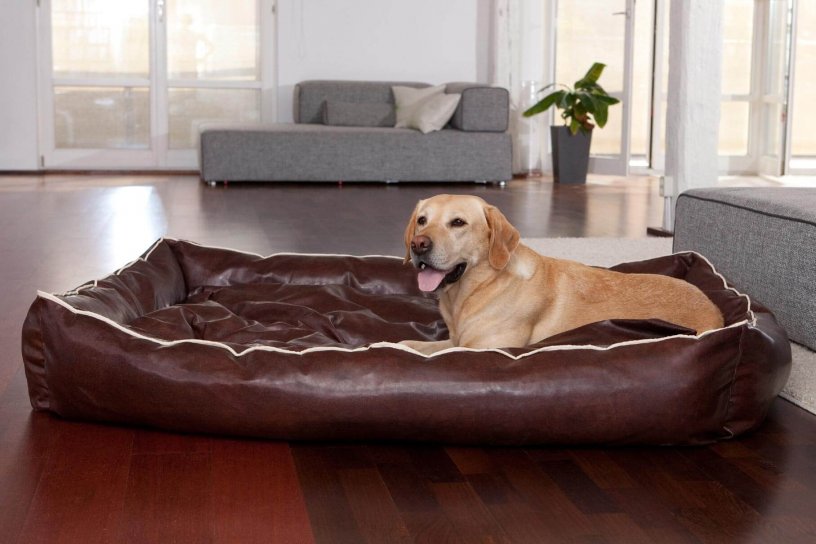 Smoothy Dogbed Leather XXL Braun
