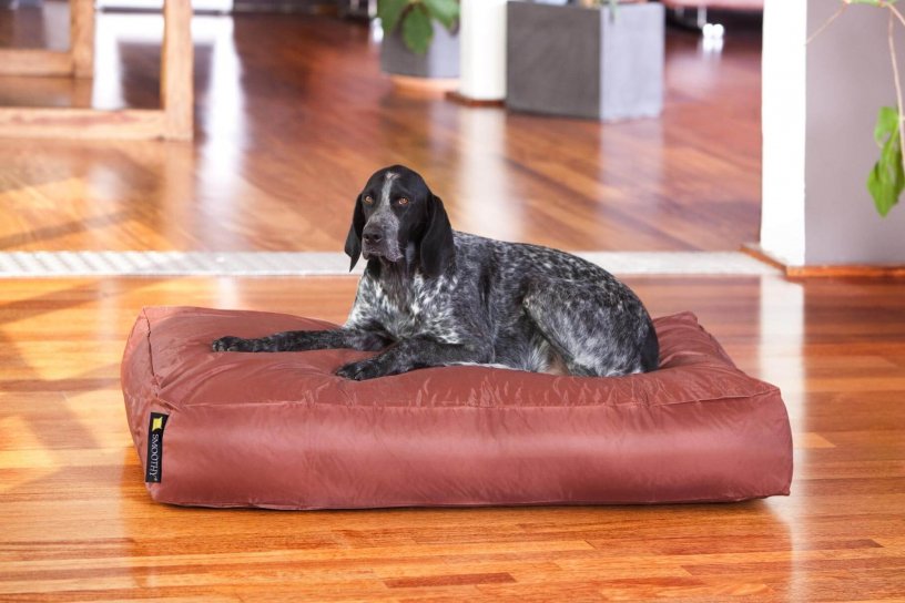 Smoothy Dogbed XXL Braun