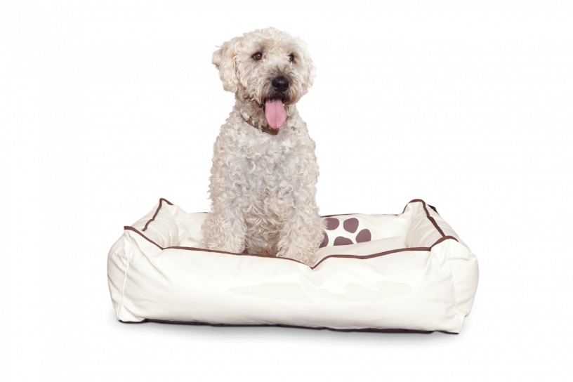 Smoothy Dogbed Leather M Beige