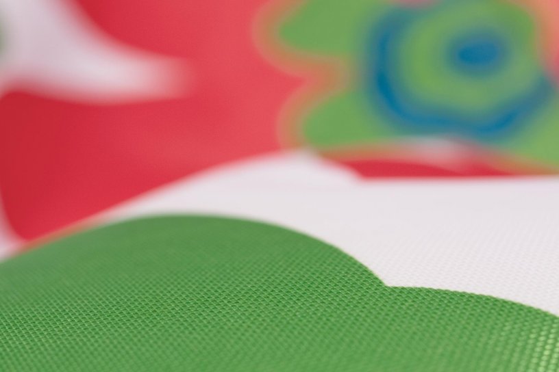 Sitzsack Floralia Grün-Rot