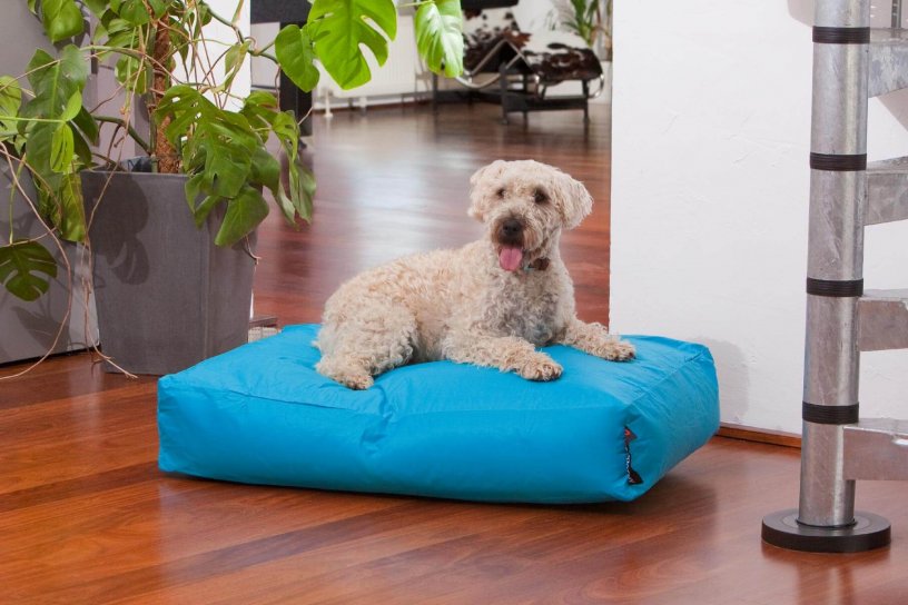 Smoothy Dogbed Classic Blau