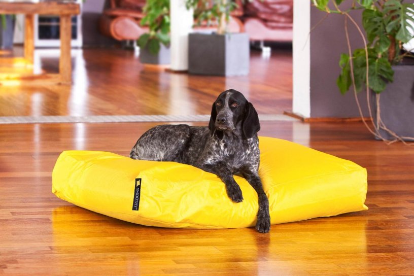 Smoothy Dogbed XXL Gelb