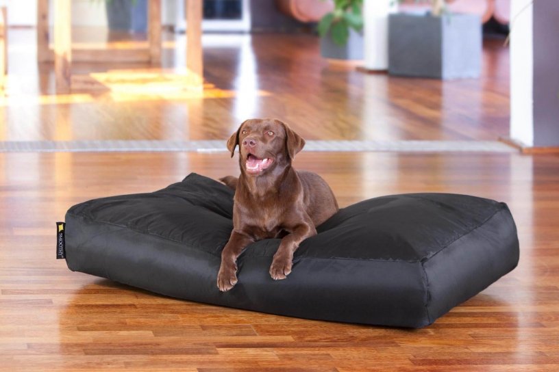 Smoothy Dogbed XXL Schwarz