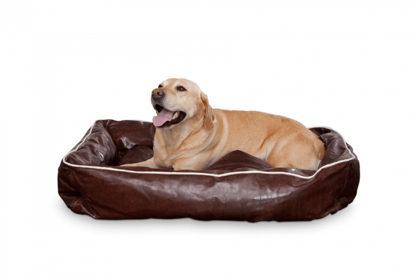 Smoothy Dogbed Leather L Braun