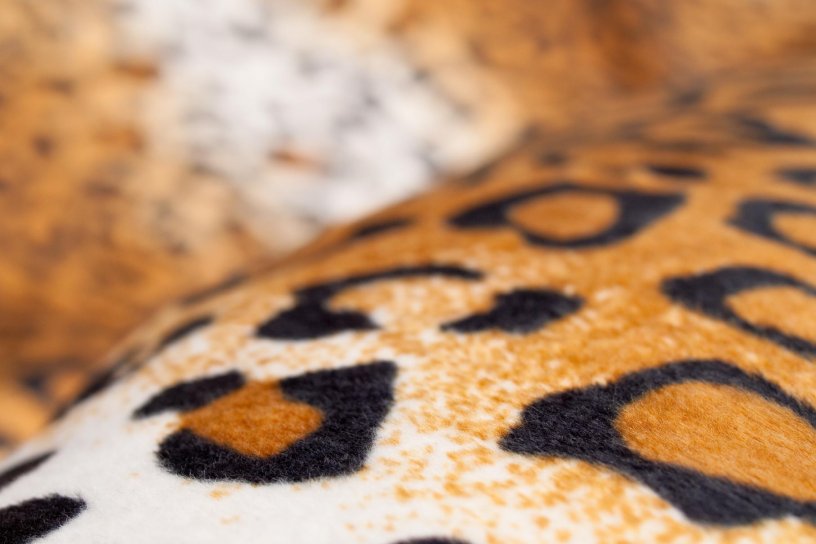 Sitzsack Safari Leopard