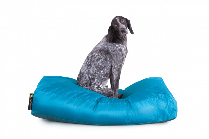 Smoothy Dogbed XXL Blau