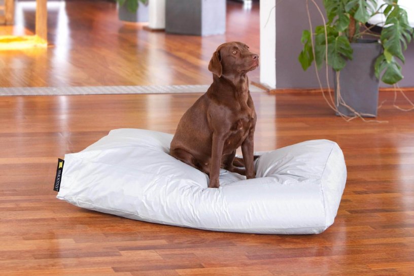 Smoothy Dogbed XXL Weiß