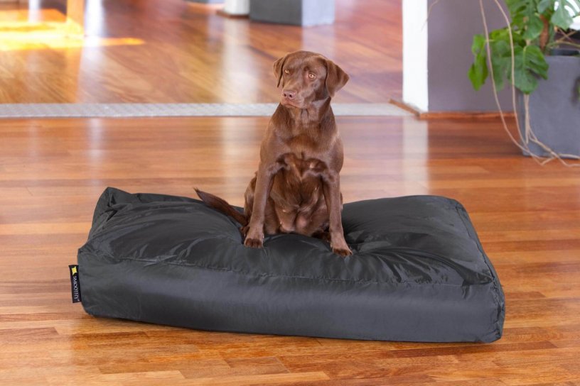 Smoothy Dogbed XXL Schwarz