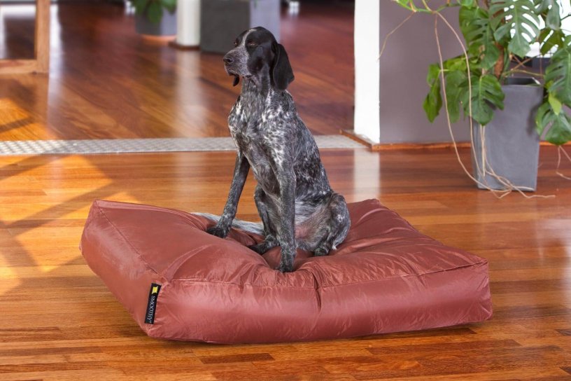 Smoothy Dogbed XXL Braun