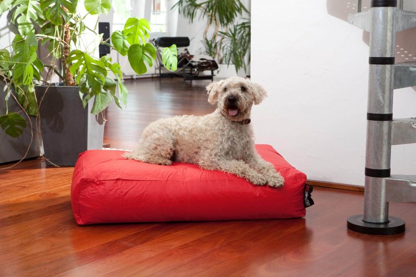 Smoothy Dogbed Classic Rot