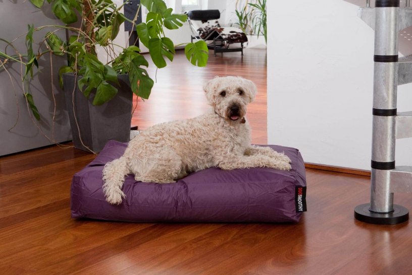 Smoothy Dogbed Classic Purpur