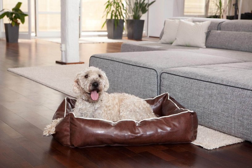 Smoothy Dogbed Leather M Braun
