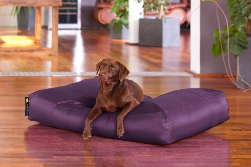 Smoothy Dogbed XXL Purpur