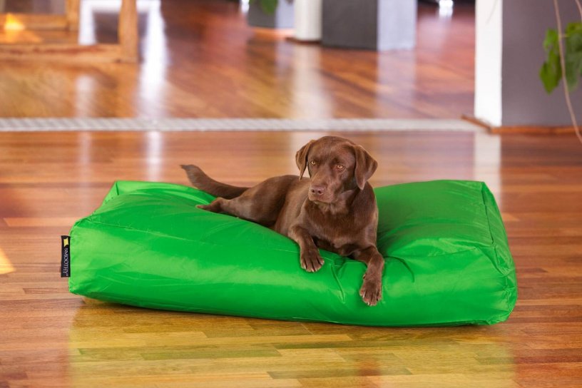 Smoothy Dogbed XXL Grün