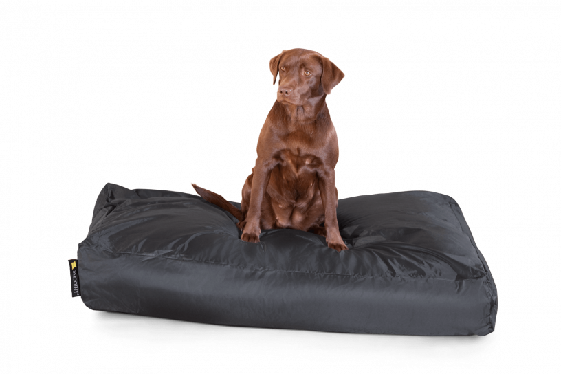Smoothy Dogbed XXL Schwarz