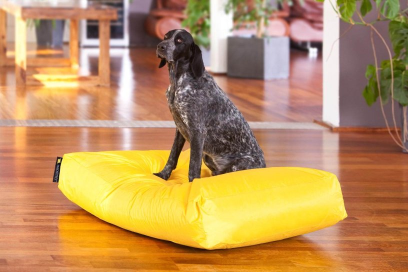 Smoothy Dogbed XXL Gelb