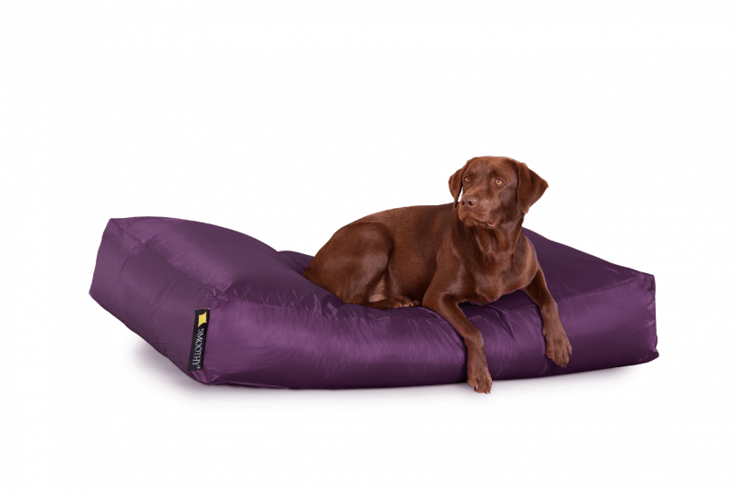 Smoothy Dogbed XXL Purpur