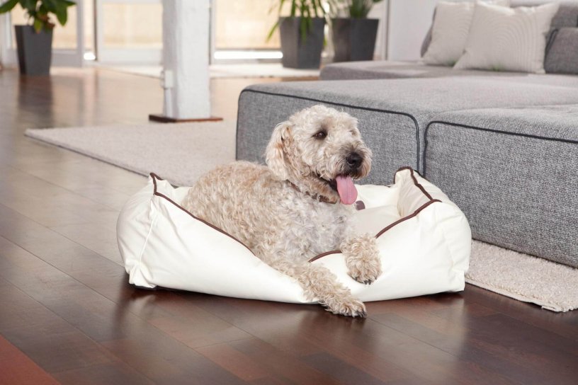 Smoothy Dogbed Leather M Beige