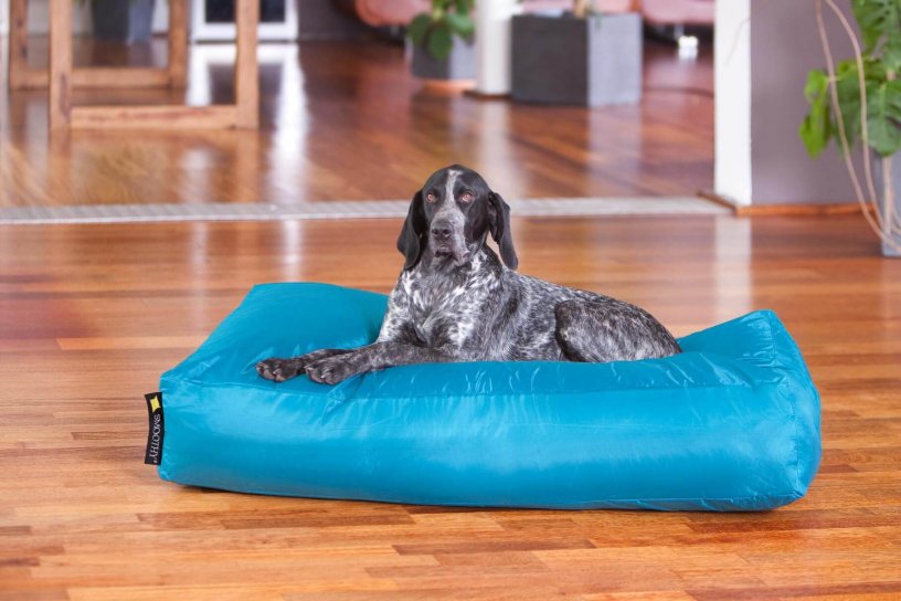 Smoothy Dogbed XXL Blau