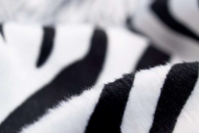 Sitzsack Safari Zebra