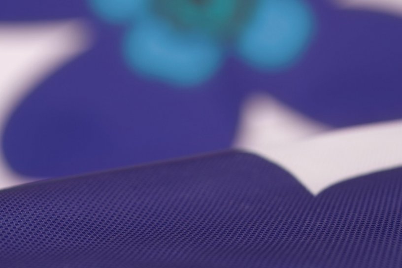 Sitzsack Floralia Blau-Purpur