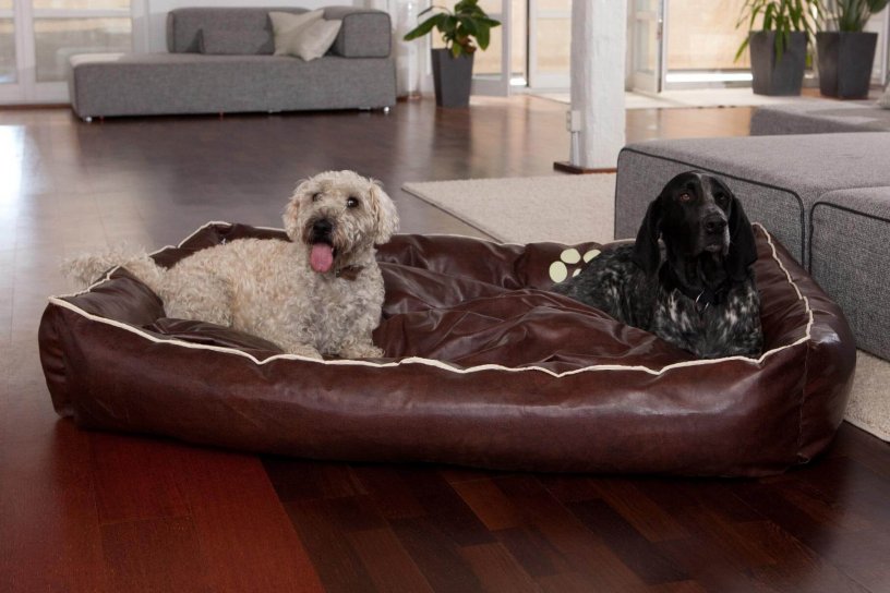 Smoothy Dogbed Leather XXL Braun