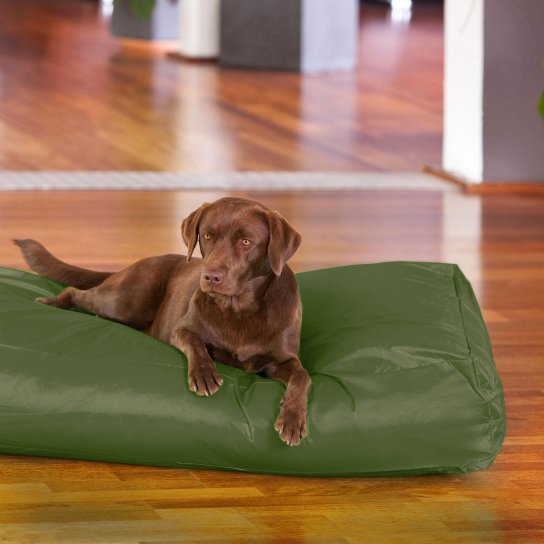 Dogbed Classic XXL