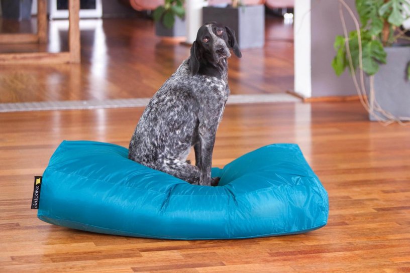 Smoothy Dogbed XXL Blau