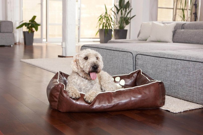 Smoothy Dogbed Leather M Braun