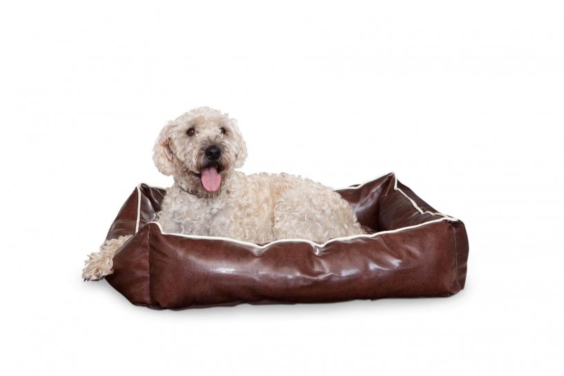 Smoothy Dogbed Leather M Braun