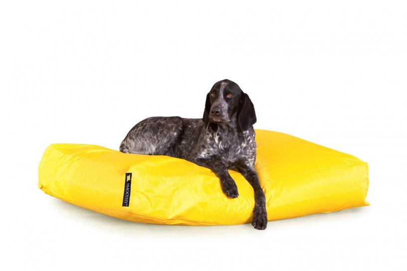 Smoothy Dogbed XXL Gelb